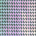 holo -holography app-