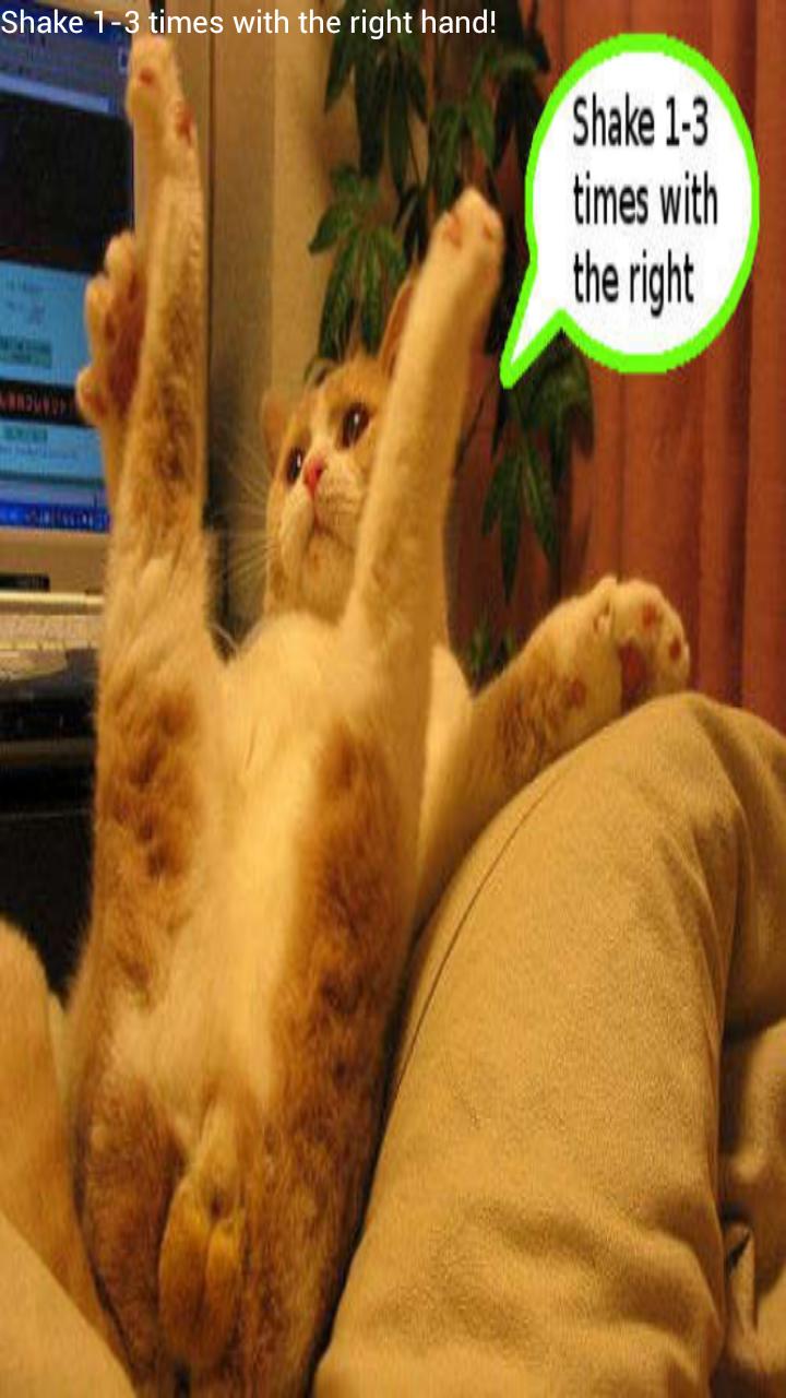 振って出てくる 可愛い猫の癒し画像集 For Android Apk Download