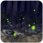 Firefly  3D LiveWallpaper آئیکن