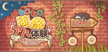 Aha-Experience Cat World - Wha