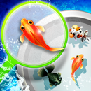 Shin Goldfish Scooping aplikacja