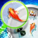 Shin Goldfish Scooping APK