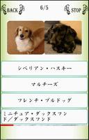 Names／わんにゃばー いろんな名前覚えよう（犬・猫・鳥） ảnh chụp màn hình 3