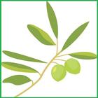 Olive ikon