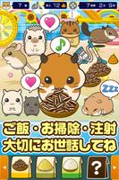 ぼくのハムスター~ハムスターを育てる楽しい育成ゲーム~ скриншот 1
