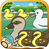 カルガモの親子~鴨を育てる楽しい育成ゲーム~ APK