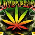 a1-Cannabis Smoke