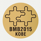 BMB2015 иконка