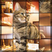 Swapping Cat Puzzle