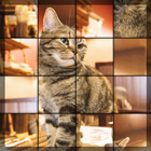 Swapping Cat Puzzle icon