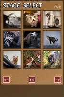 Swapping Cat Puzzle Affiche