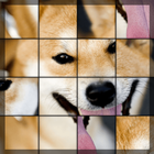 Swapping Dog Puzzle icon