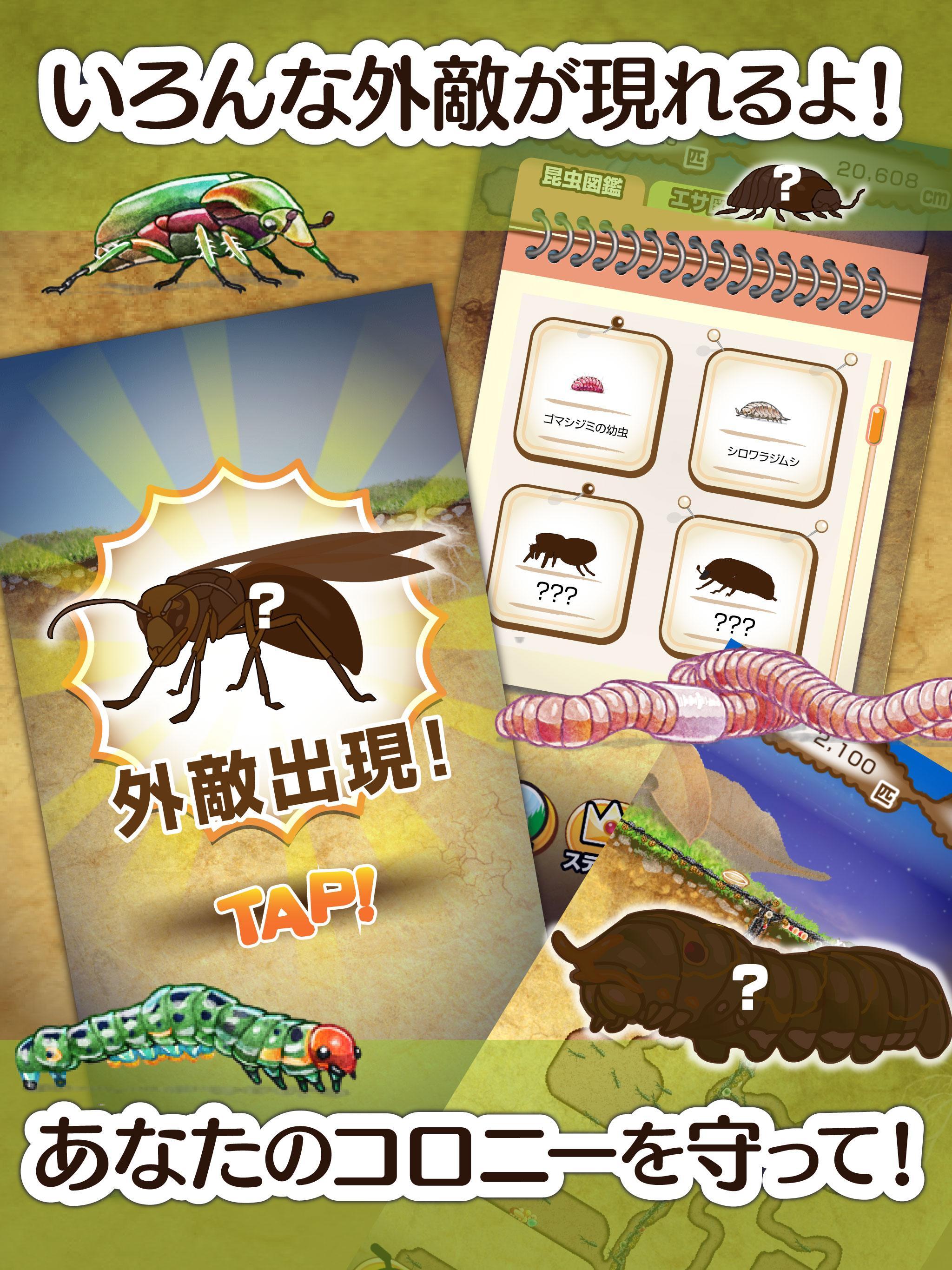 アリの巣コロニー For Android Apk Download アリの巣コロニー For Android Apk Download