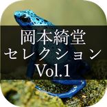 Okamoto Kido Selection Vol.1