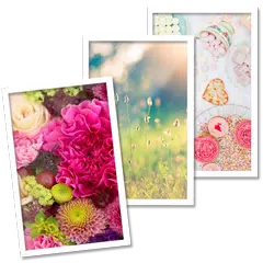 WALL!：Free HD Wallpapers APK 下載