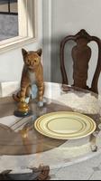 Escape Game:Cats in Italy تصوير الشاشة 2