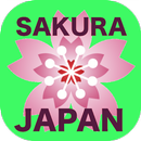 App of Japan Sakura from Baby APK