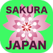 App of Japan Sakura from Baby