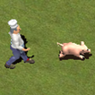 Pig Escape Plan