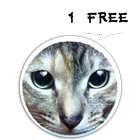 KamiBag MOMO 1 Cat App-icoon