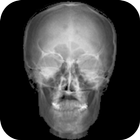 X-ray Skeleton icon