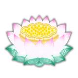 ChuNen Hayami icono