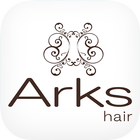 Arks hair icône