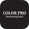 COLOR PRO Hair Salon icône