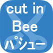 cut in Bee パシュー