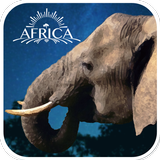 Real Elephant SimulationGame3D APK