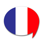 DELF DALF French Language Quiz icône