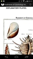 Rudiments of Conchology تصوير الشاشة 1