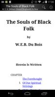 The Souls of Black Folk Affiche