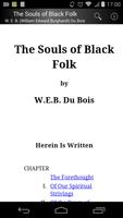 The Souls of Black Folk 海报