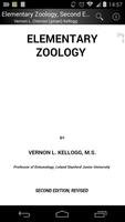 Elementary Zoology poster