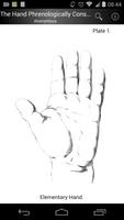The Hand Phrenology Affiche