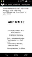 Wild Wales Affiche