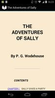The Adventures of Sally Affiche