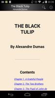 The Black Tulip पोस्टर