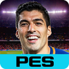 PES COLLECTION-icoon