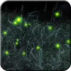 Firefly Live Wallpaper Free APK download