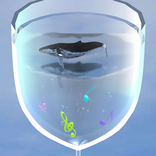 SodaWhale