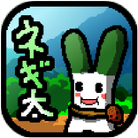 鳥取県米子市にてネギ太、ネギを刈る。