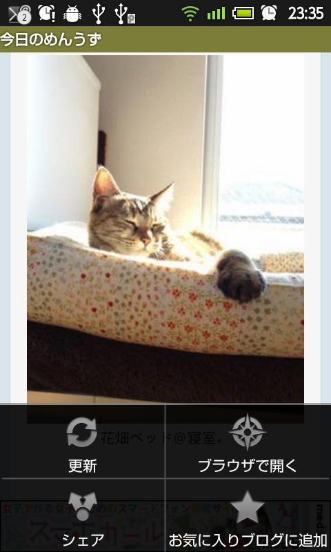かわいい猫ブログ集 For Android Apk Download