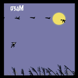 Swing Ninja আইকন