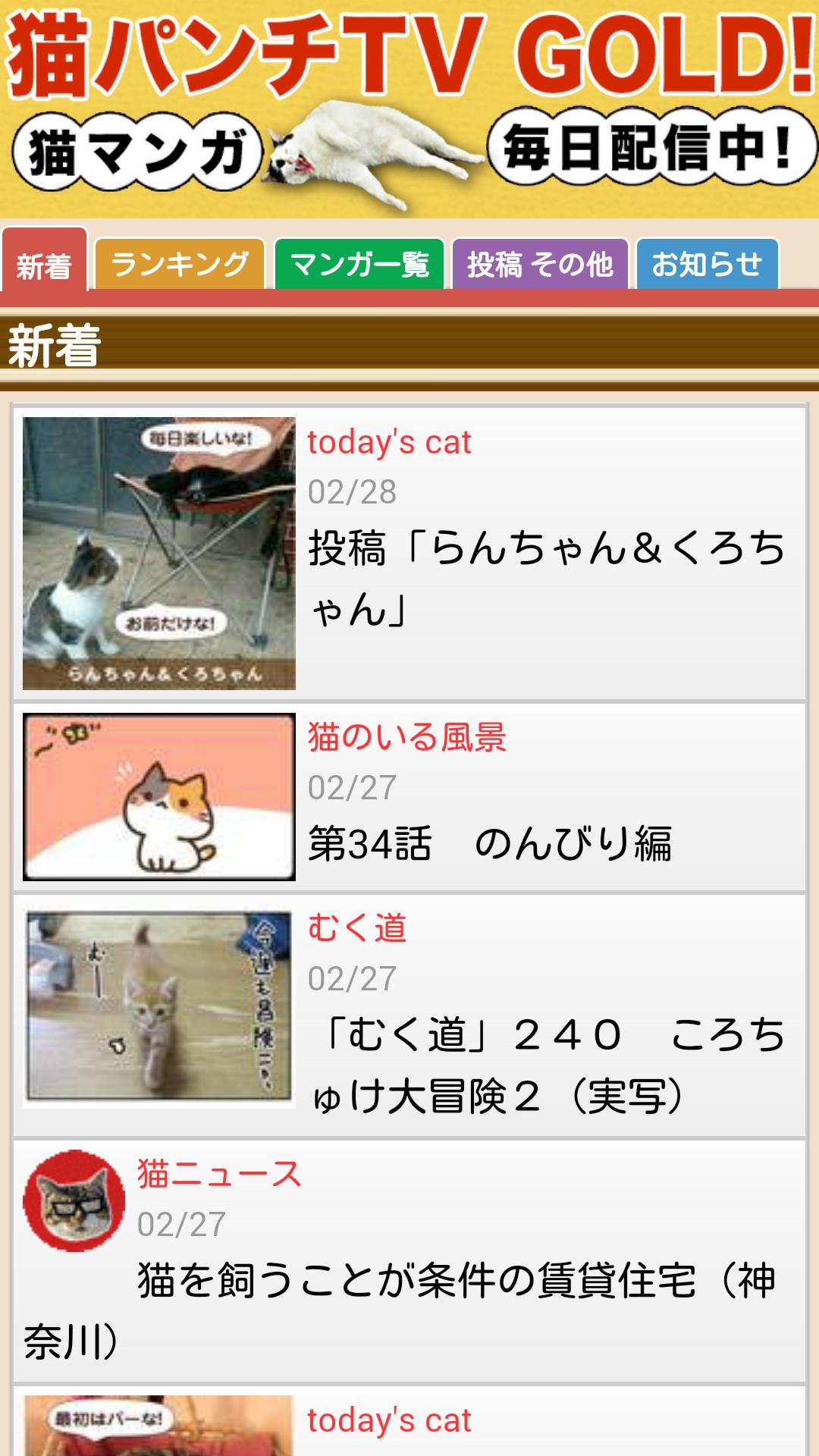 猫パンチtv Gold For Android Apk Download