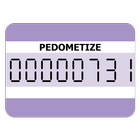PEDOMETIZE - Simple Pedometer آئیکن