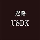 迷路USDX APK