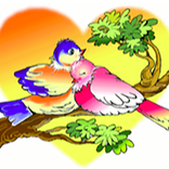 ”Bí kíp tán gái