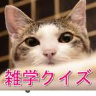 雑学クイズアプリ　無料　誰でも楽しめる　猫 иконка